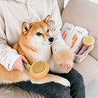 Self-cleaning Pet Slicker Brush