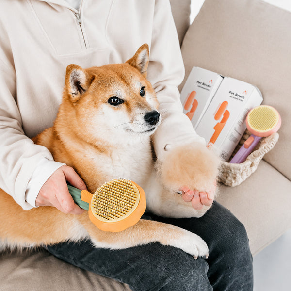Self-cleaning Pet Slicker Brush