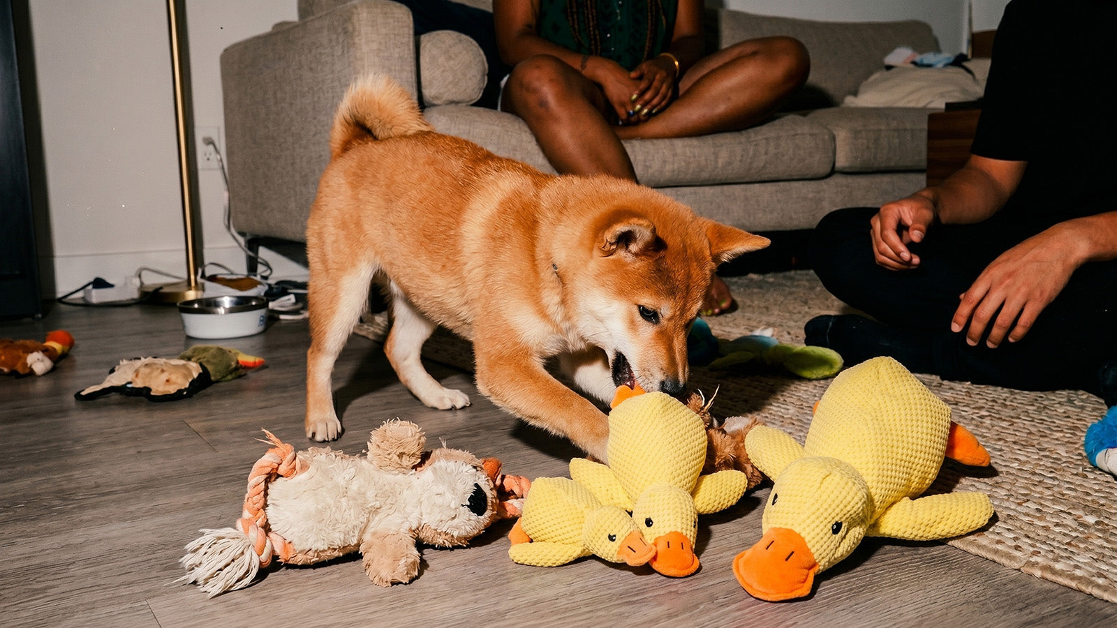 STOCK UP ONBOREDOM-BUSTERS.