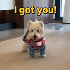 Funny Two-legged Dog Costume