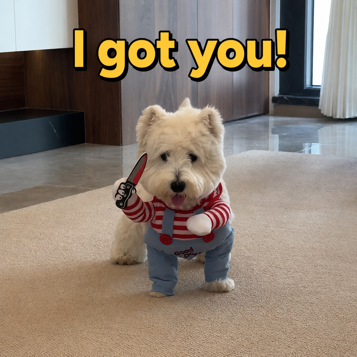 Funny Two-legged Dog Costume