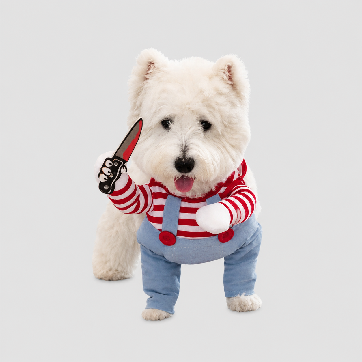 Funny Two-legged Dog Costume