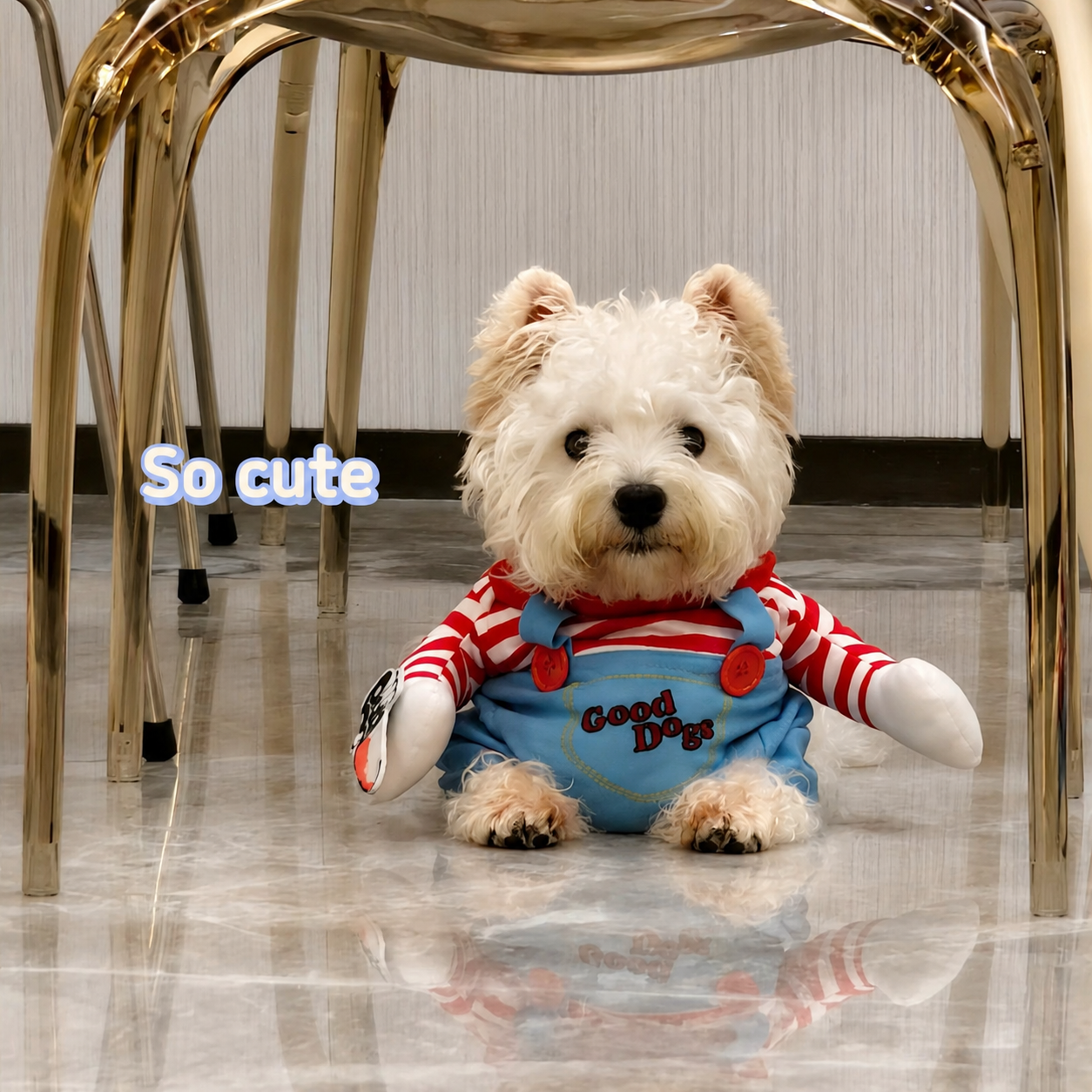 Funny Two-legged Dog Costume