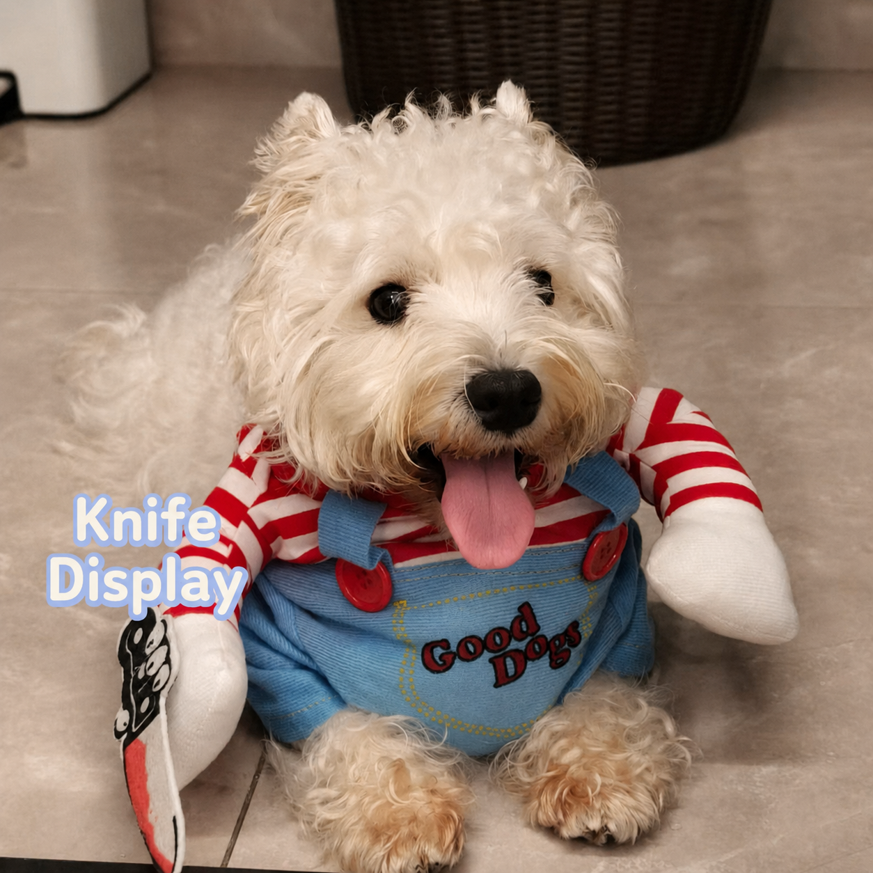 Funny Two-legged Dog Costume