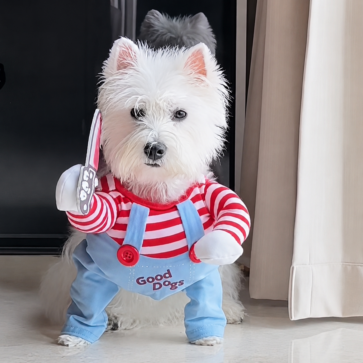 Funny Two-legged Dog Costume