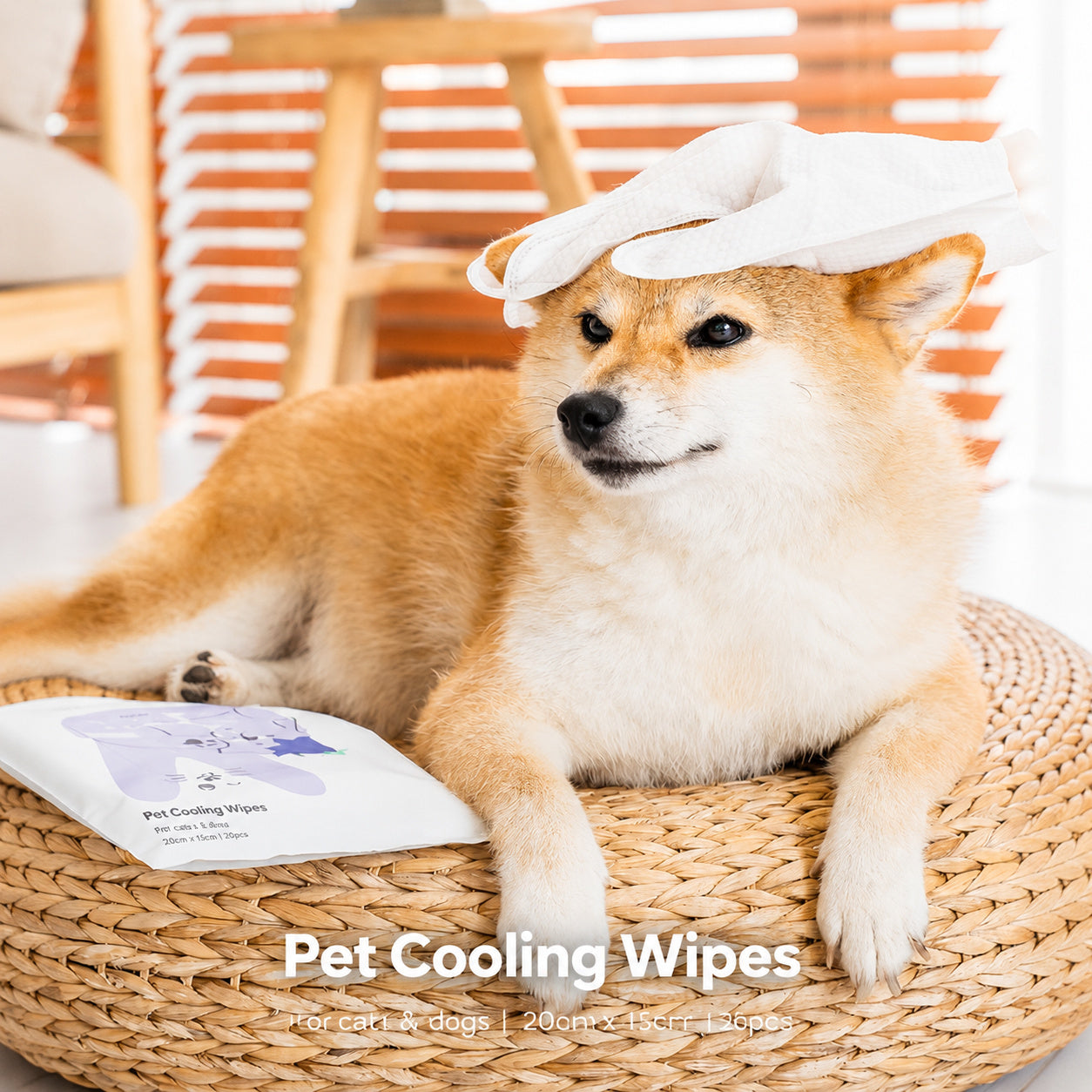 No-rinse Grooming Gloves