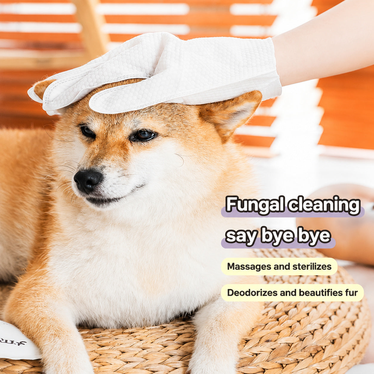No-rinse Grooming Gloves