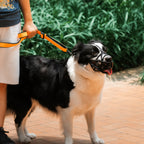 Breathable Grid Dog Muzzle