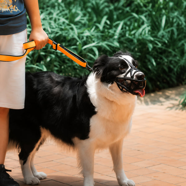 Breathable Grid Dog Muzzle