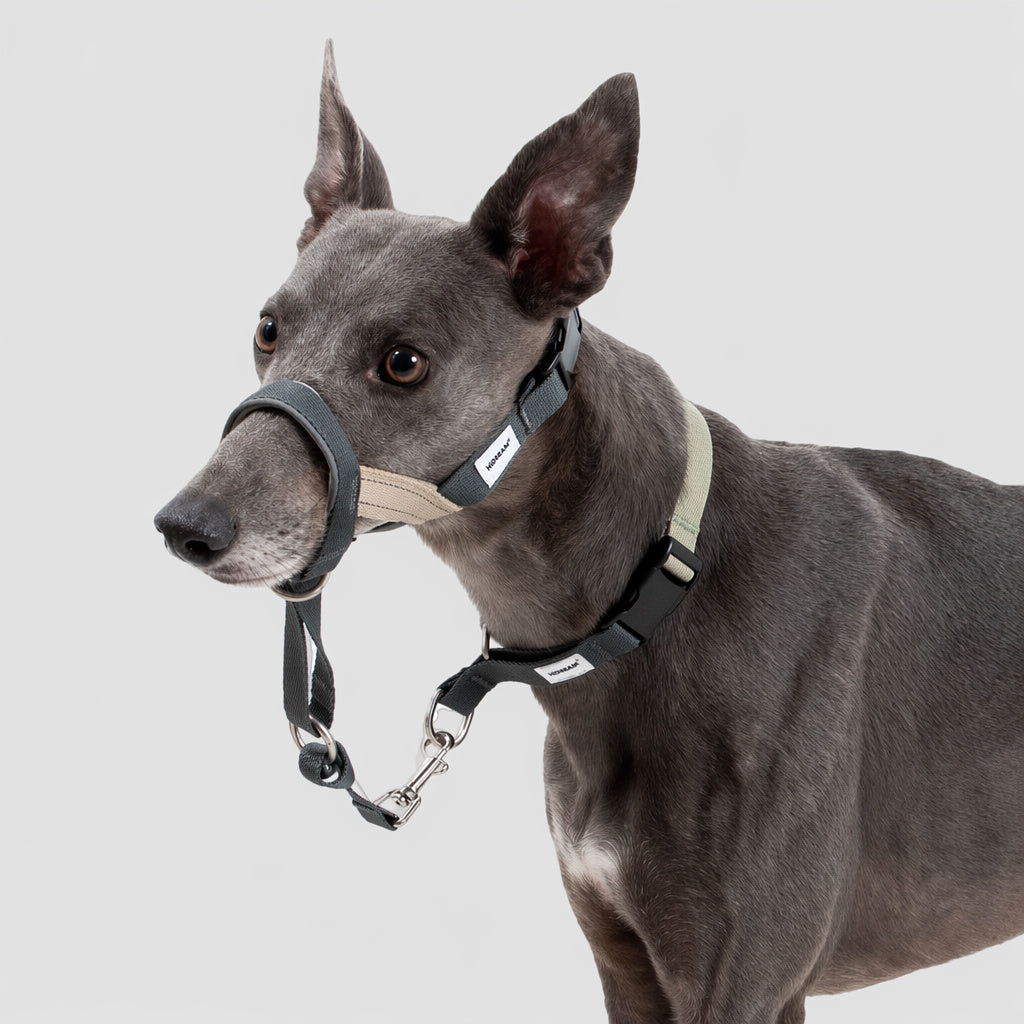 No-pull Training Muzzle