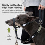 No-pull Training Muzzle