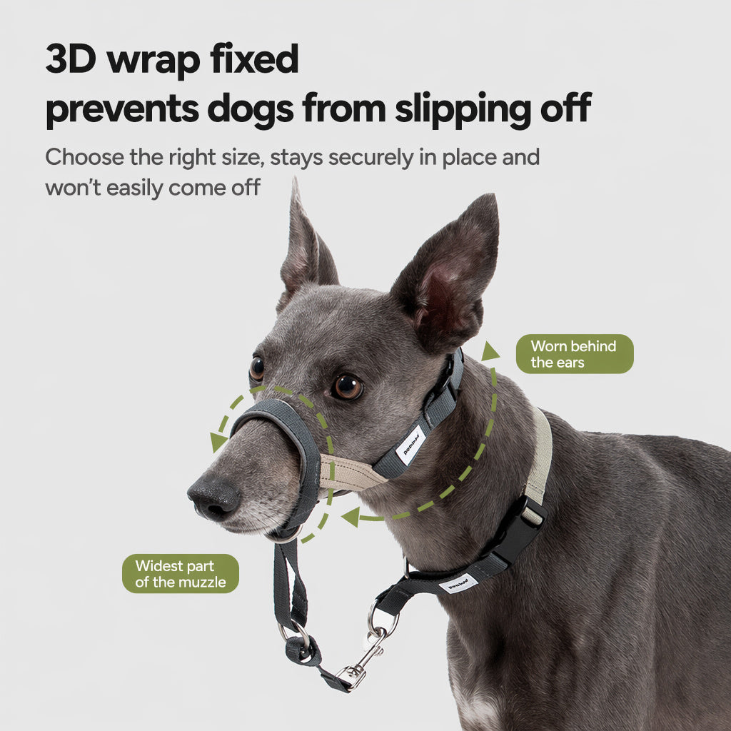No-pull Training Muzzle