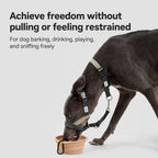 No-pull Training Muzzle