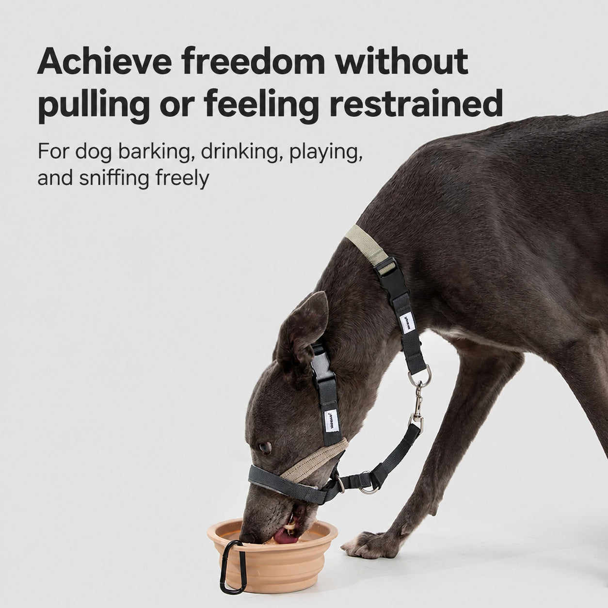 No-pull Training Muzzle