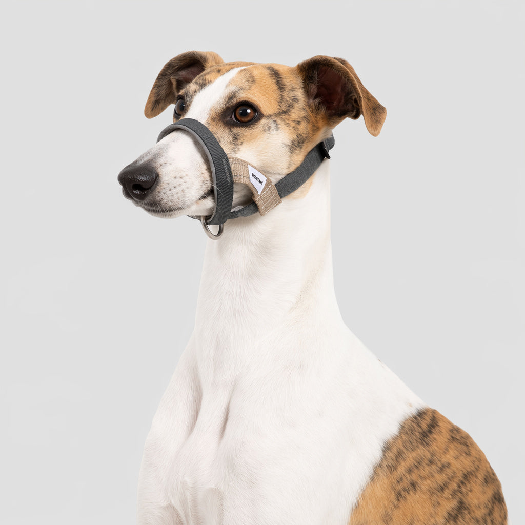 No-pull Headcollar Quick Control