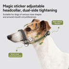 No-pull Headcollar Quick Control