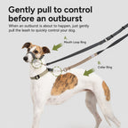 No-pull Headcollar Quick Control