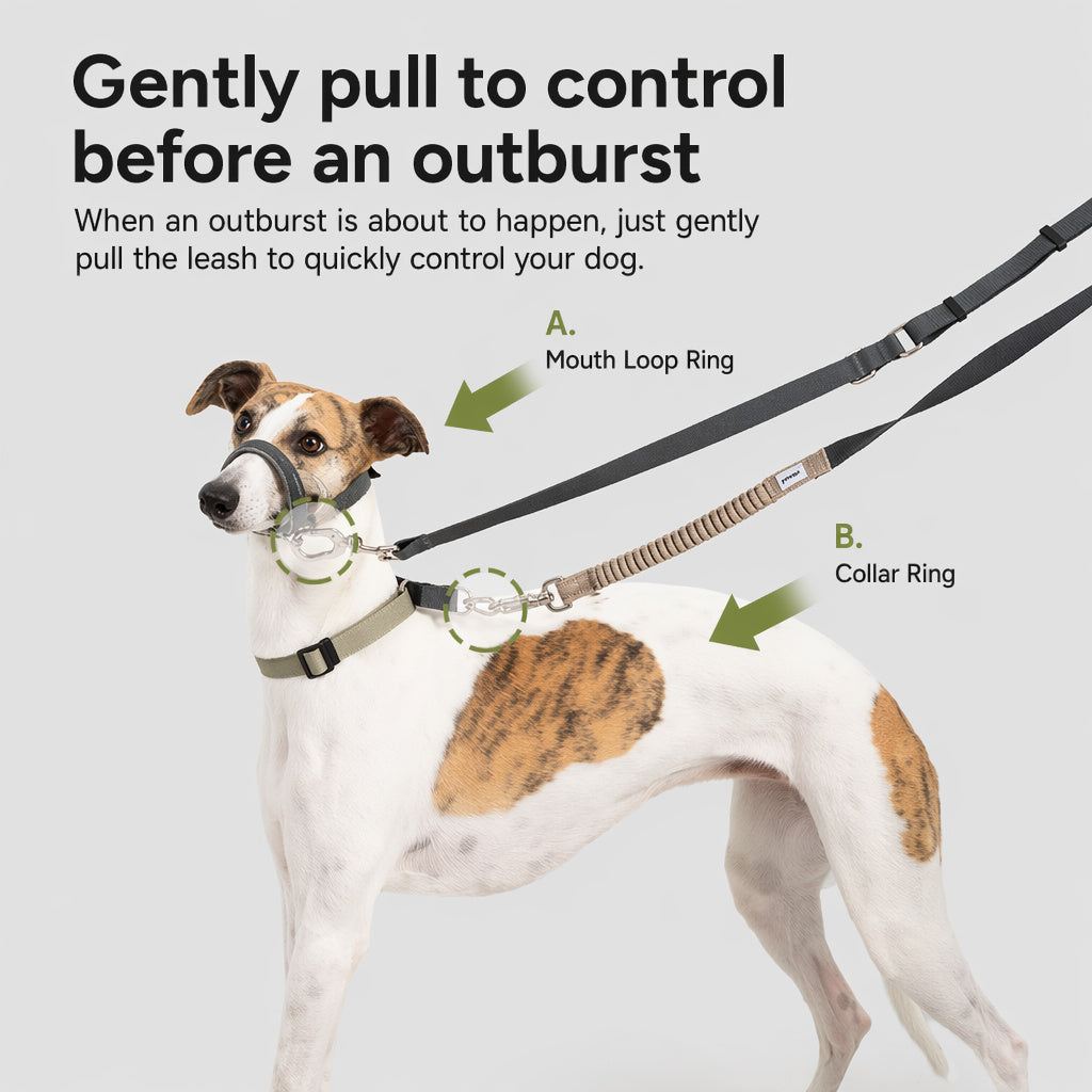 No-pull Headcollar Quick Control