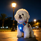 Clip-On Night Walk LED