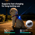 Clip-On Night Walk LED