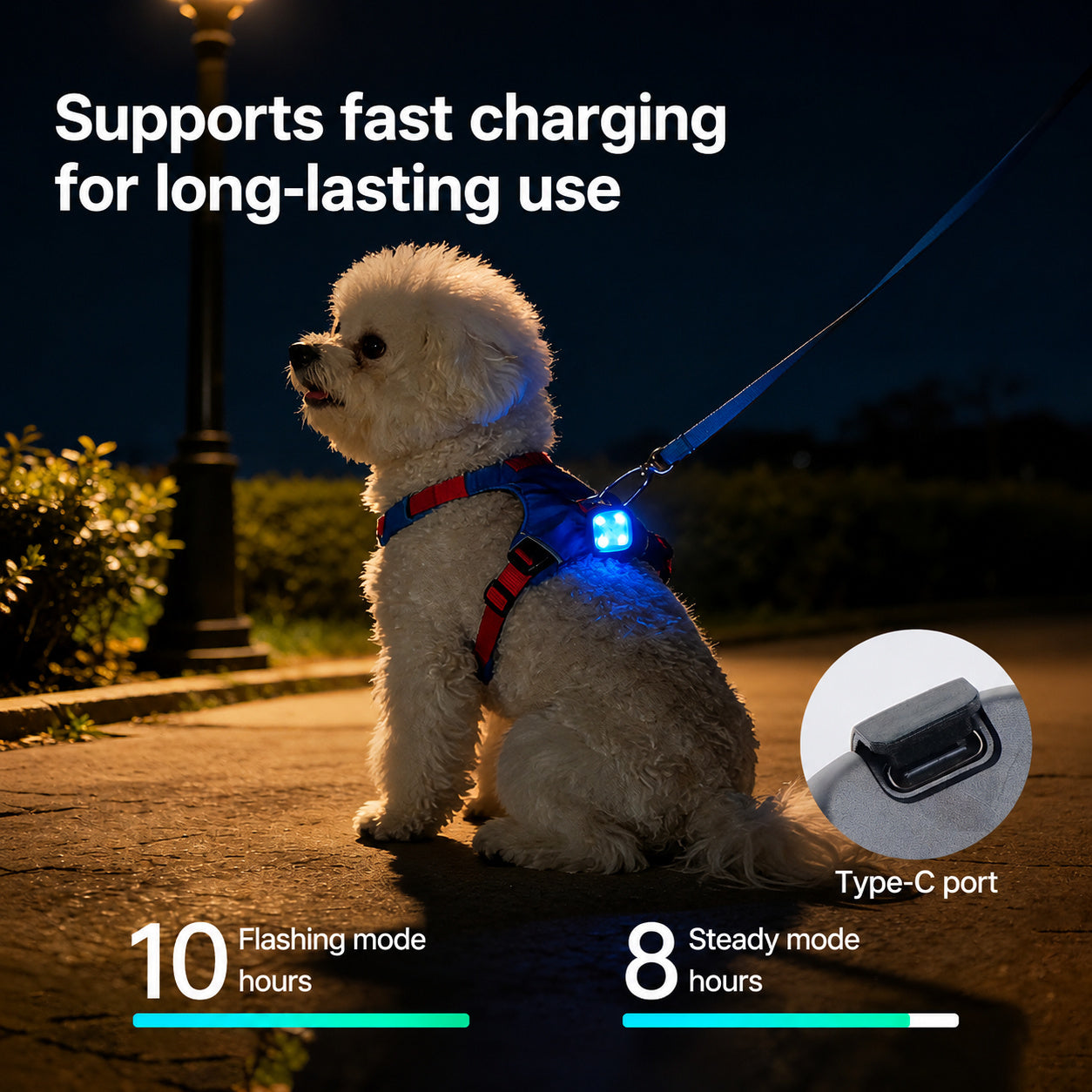 Clip-On Night Walk LED