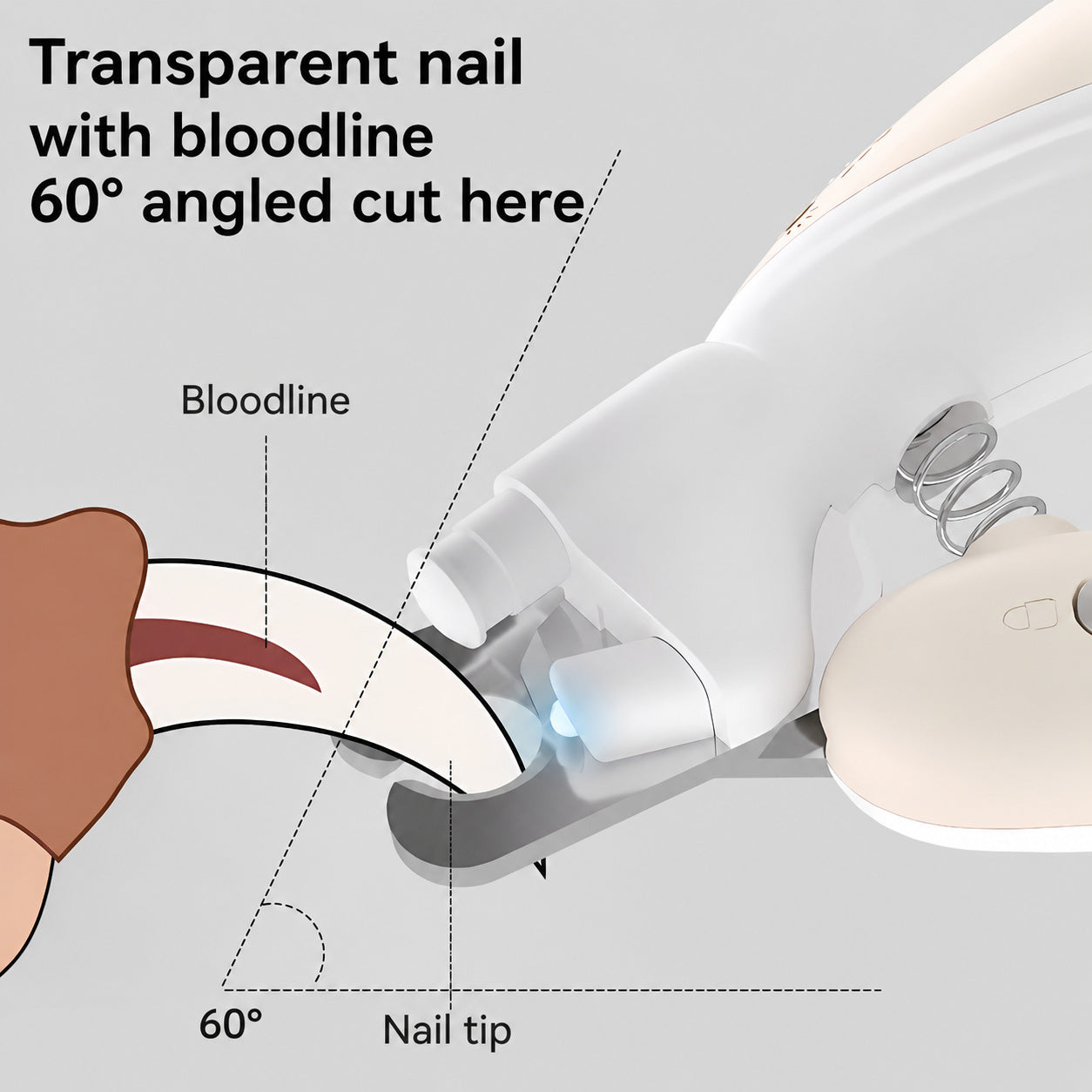 LED Quick-View Nail Clippers