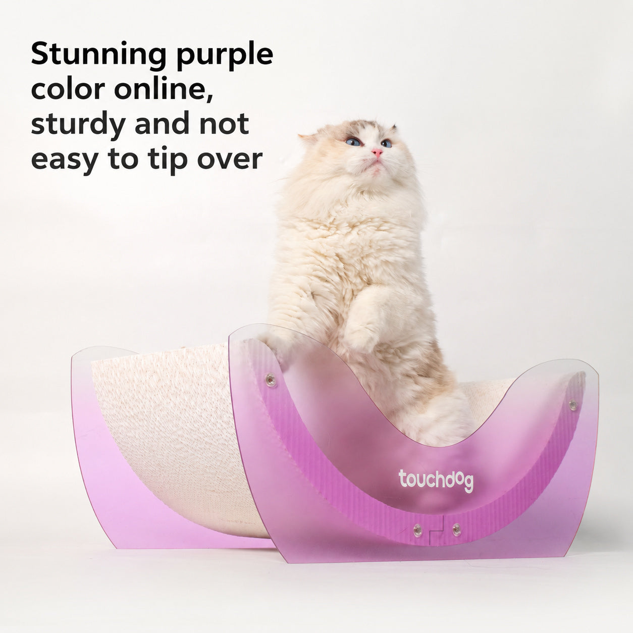 Iridescent Purple Scratcher Lounge