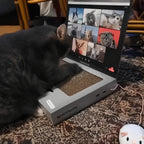 Laptop Scratcher Toy For Cats