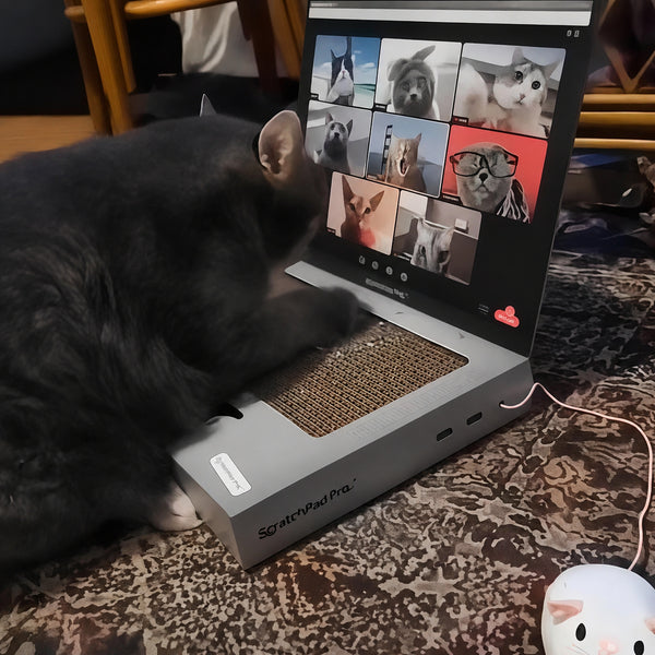 Laptop Scratcher Toy For Cats