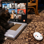 Laptop Scratcher Toy For Cats