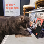 Laptop Scratcher Toy For Cats