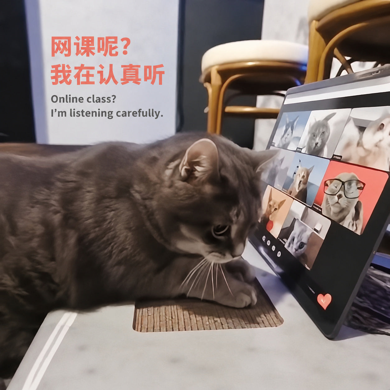 Laptop Scratcher Toy For Cats