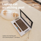Cat Scratcher Play Station