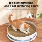 3-in-1 Scratcher Lounge Toy