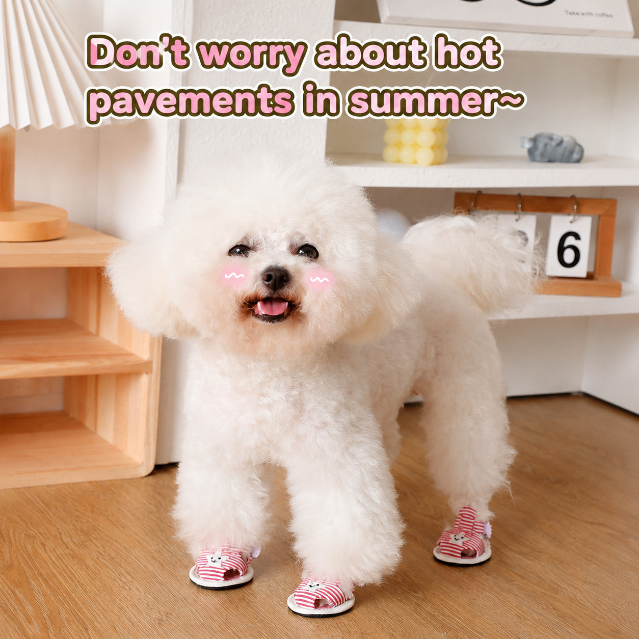 Canvas Dog Sandals With Straps