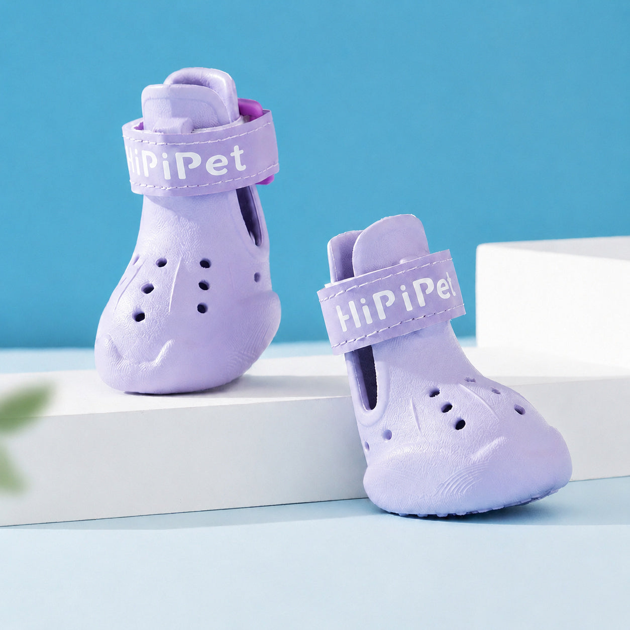 EVA Dog Clog Sandals