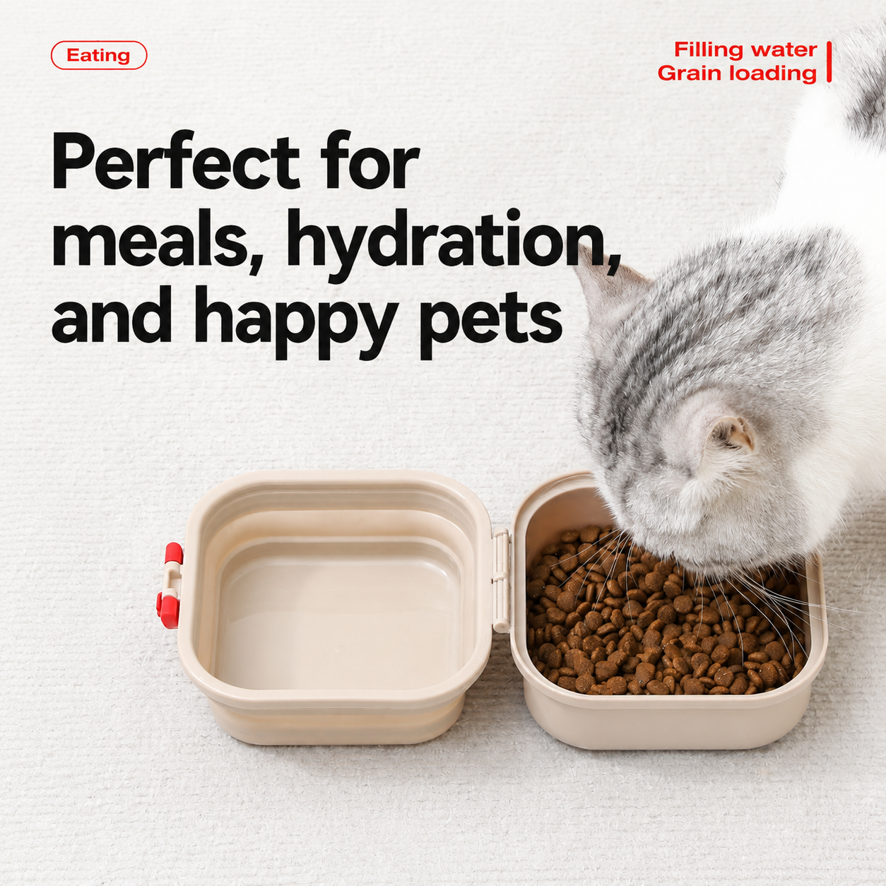Collapsible Dual Travel Bowl