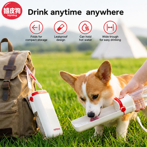 Foldable Leakproof Water Bottle
