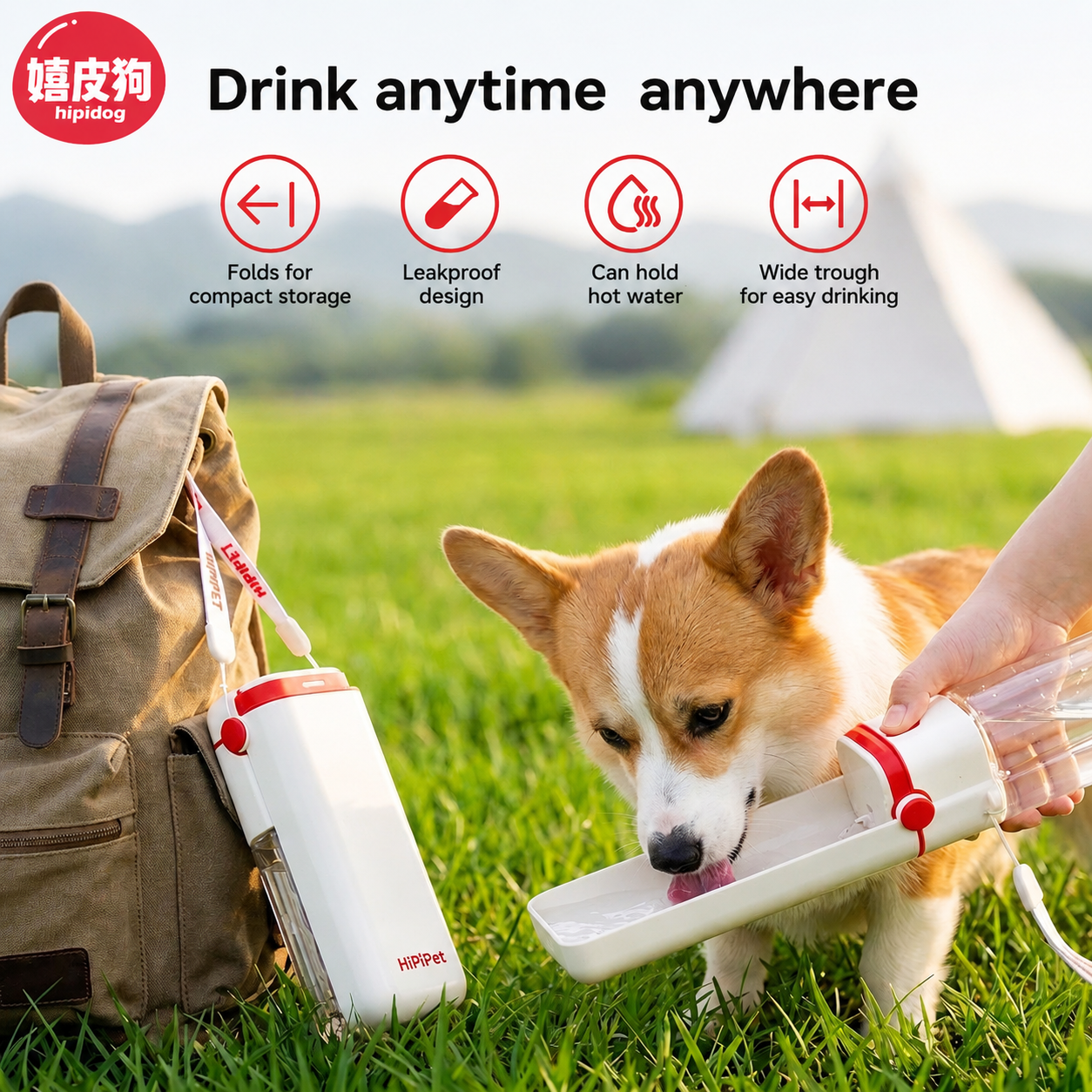 Foldable Leakproof Water Bottle