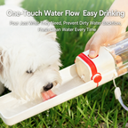 Foldable Leakproof Water Bottle