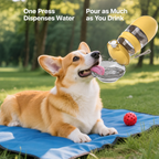 Portable 2-in-1 Water Bottle