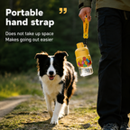 Foldable Travel Water Bottle