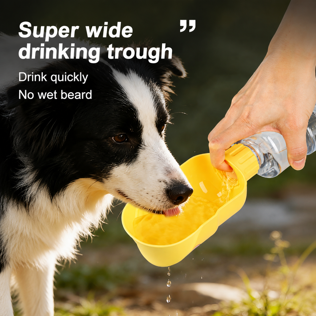 Foldable Travel Water Bottle