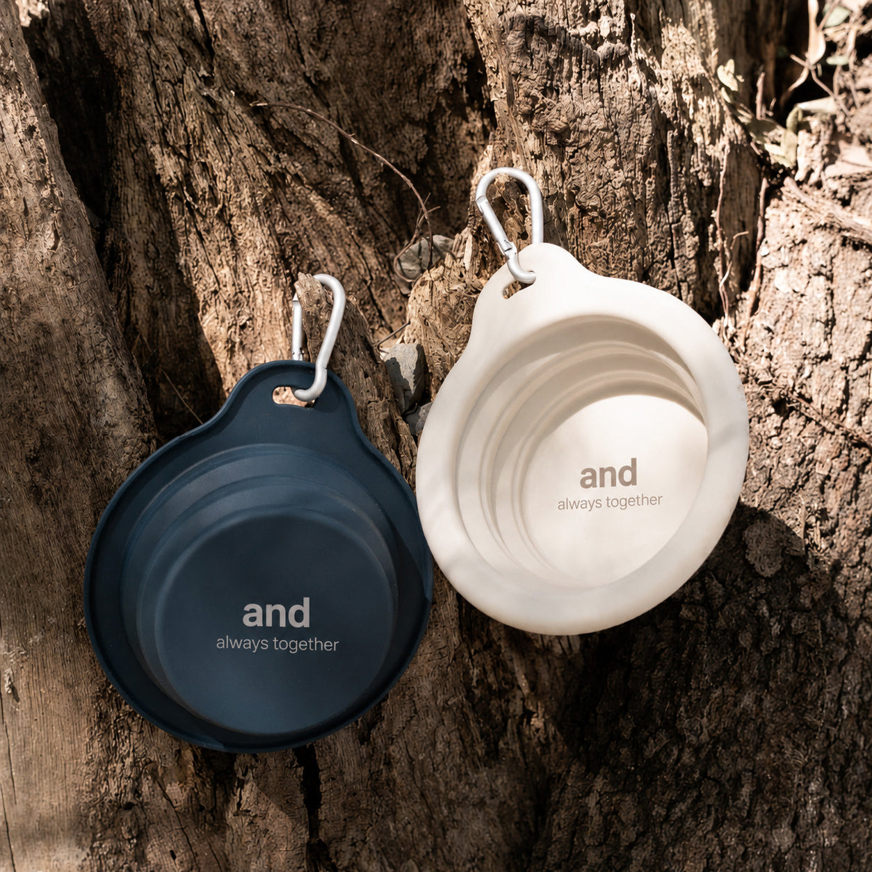 Collapsible Silicone Bowl With Clip