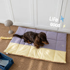 Reversible Pastel Travel Mat