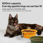 Fold-and-go Silicone Pet Bowl