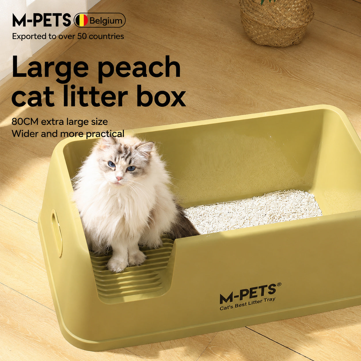 Large Open Litter Box