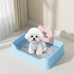 Pastel Dog Potty With Grate