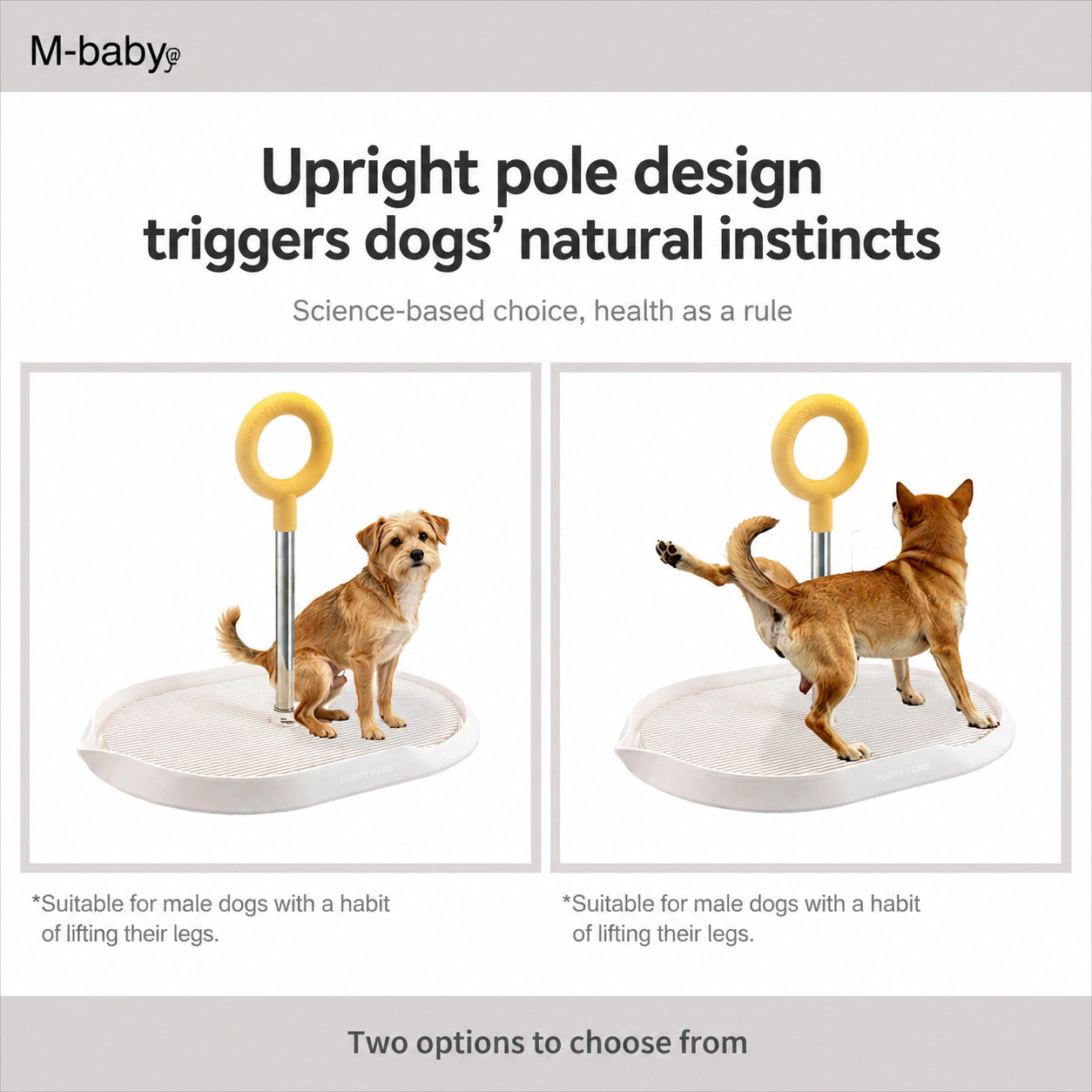Donut Potty With Training Post