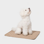 Reusable Waterproof Pet Pad